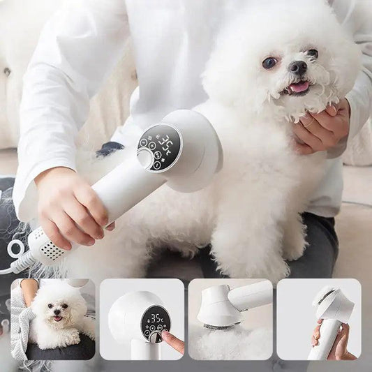 Pet Grooming: Why Combing and Grooming Are Essential