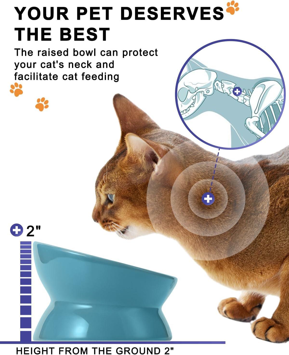 Elevated Cat Food Bowl, Ceramic Raised Cat Bowl, Tilt Angle Protect Cat'S Spine, anti Vomiting Cat Dish, Backflow Prevention, Lake Blue