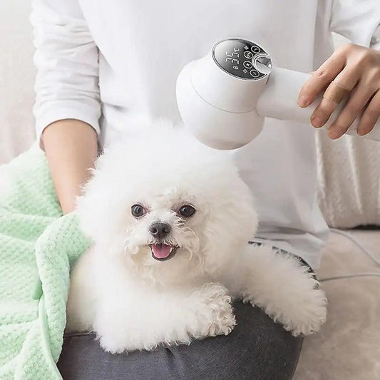 Silent pet dryer