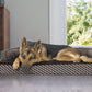 Orthopedic Dog Bed for Large Dogs W/ Removable Bolsters & Washable Cover, for Dogs up to 95 Lbs - Plush & Woven Decor Comfy Couch Sofa - Diamond Brown, Jumbo/Xl